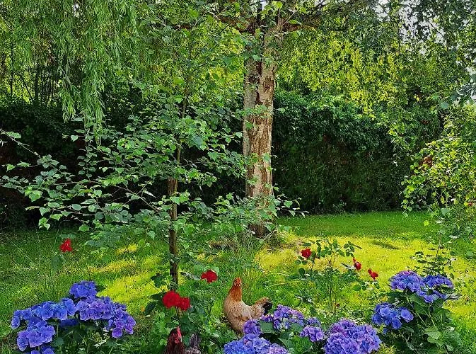 Affittacamere Le Bois D'albran La Calotterie